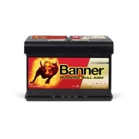 BannerPool 570 01 Battery